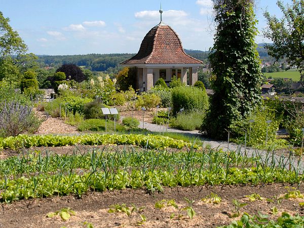 Unterschiedliche Pflanzen und Bäume im Lust- und Nutzgarten von Schloss Wildegg.