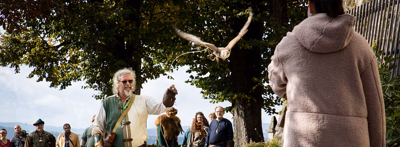 Ein Falkner in historischer Kleidung. Er lässt auf Schloss Wildegg einen Greifvogel fliegen