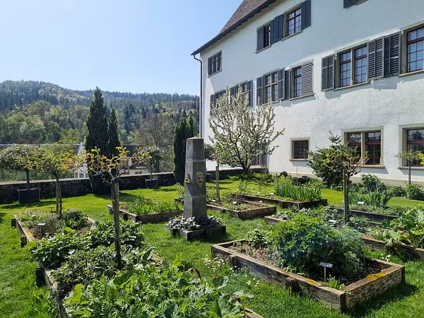 Garten, Pflanzen, altes Gebäude