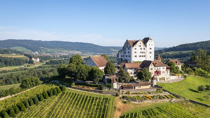 Luftaufnahme von Schloss Wildegg mit Rebberg
