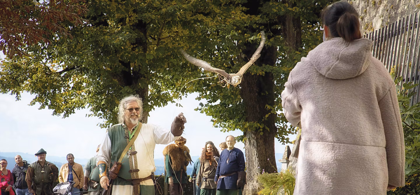 Ein mittelalterlich gekleideter Falkner lässt einen Greifvogel fliegen. Im Hintergrund Publikum