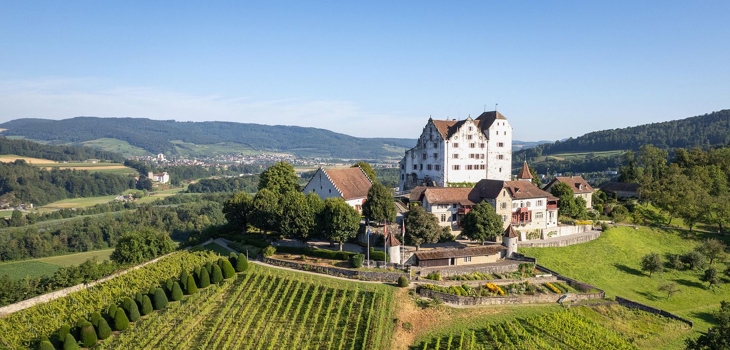 Luftaufnahme Schloss Wildegg mit Rebberg