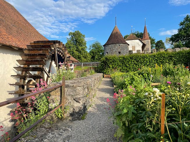 Aussenansicht Mühle Schloss Hallwyl mit Mühlenrad (links), Garten (rechts) sowie Schloss Hallwyl (im Hintergrund)