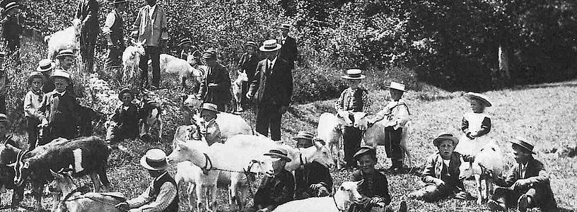 Eine Menschenmenge mit Tieren in einer Waldlichtung. Historische schwarz-weiss-Aufnahme.