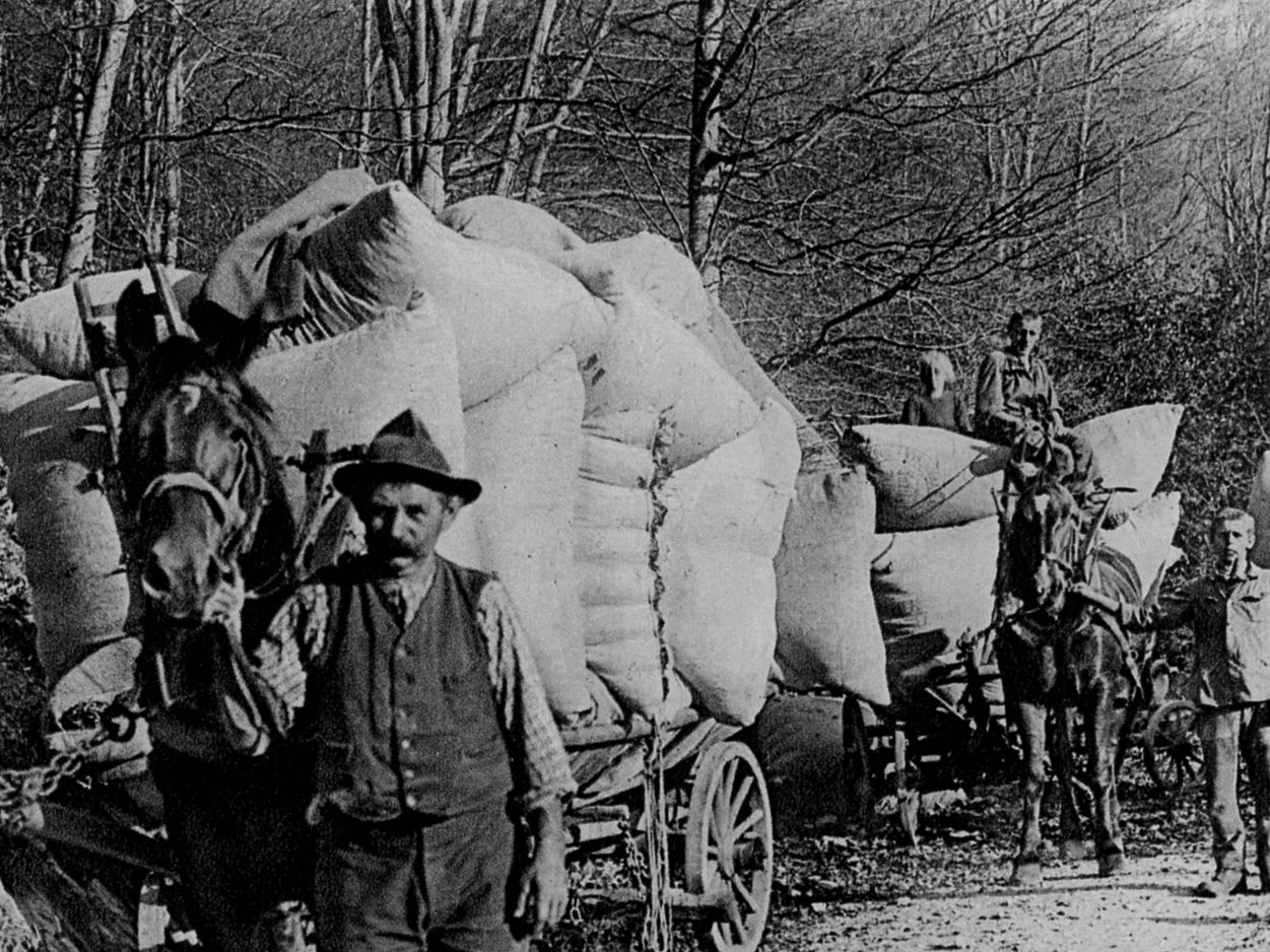 Historische Aufnahme in schwarz-weiss: Dorfgemeinschaft transportiert Laub, Äste und anderes Gut aus dem Wald, ins Dorf. Betlis, frühes 20. Jahrhundert.