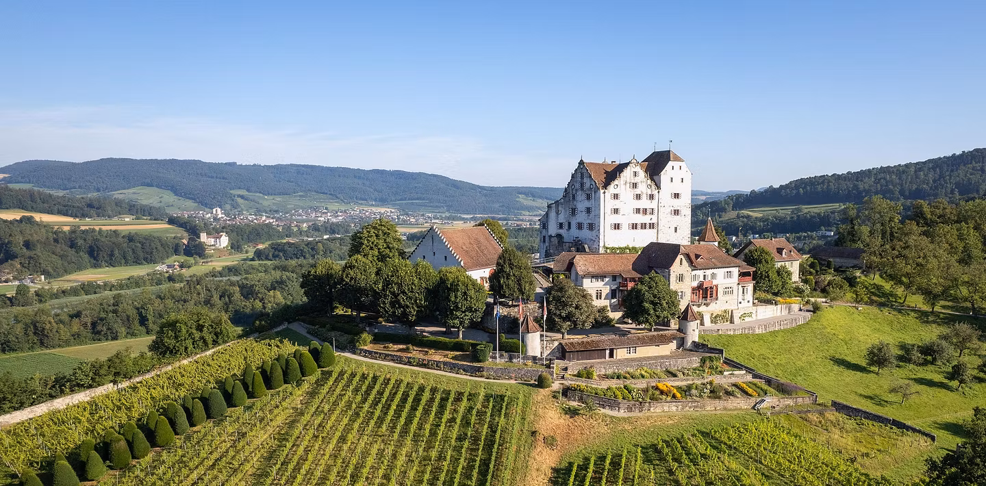 Luftaufnahme von Schloss Wildegg mit Rebberg
