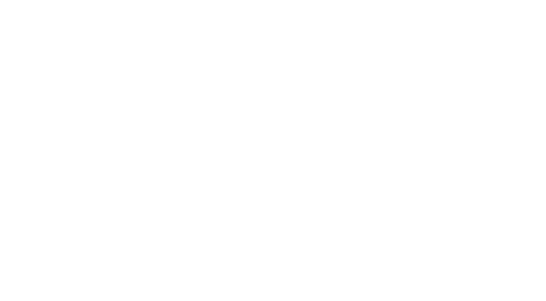 Logo Vindonissa Museum