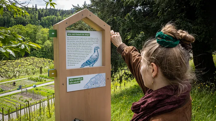 Eine Frau steht vor einer Info-Stele mit Textinformationen inmitten dem Garten der Klosterhalbinsel Wettingen.