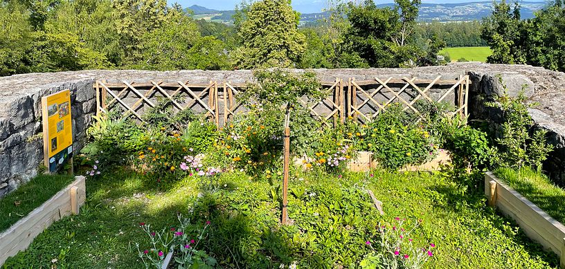 Paradiesgarten Schloss Habsburg. Nachbildung Garten aus dem Mittelalter.