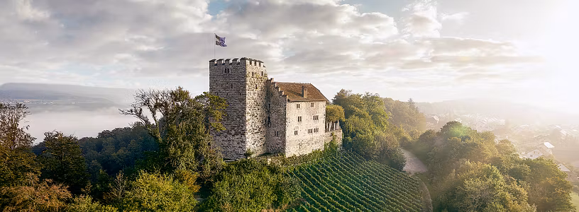 Flugaufnahme von Schloss Habsburg foto michel jaussi
