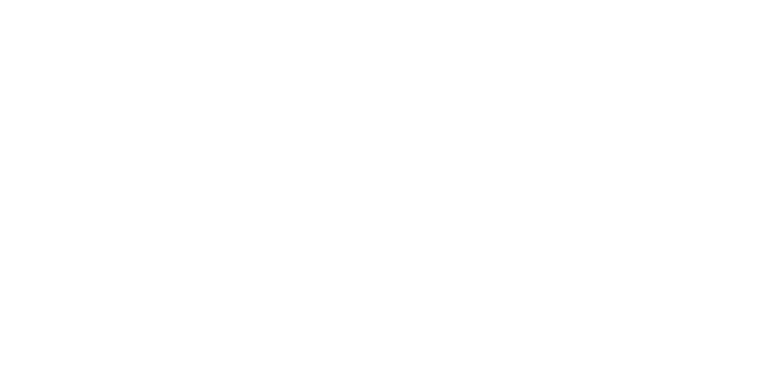 Logo Vindonissa