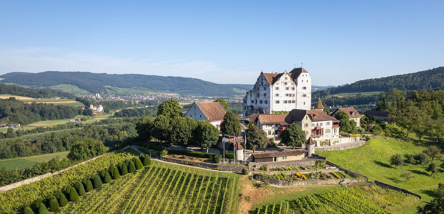 Luftaufnahme von Schloss Wildegg mit Rebberg