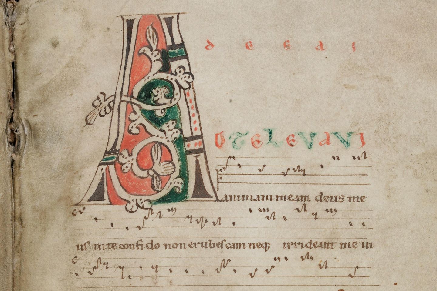 Ein historisches Dokument mit mittelalterlicher Schrift