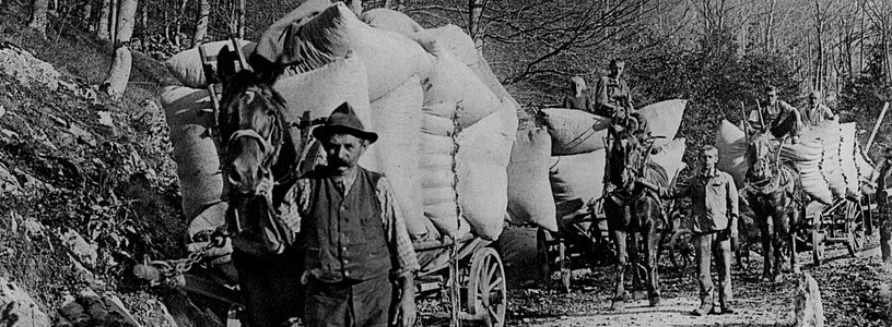 Historische Aufnahme in schwarz-weiss: Dorfgemeinschaft transportiert Laub, Äste und anderes Gut aus dem Wald, ins Dorf. Betlis, frühes 20. Jahrhundert.
