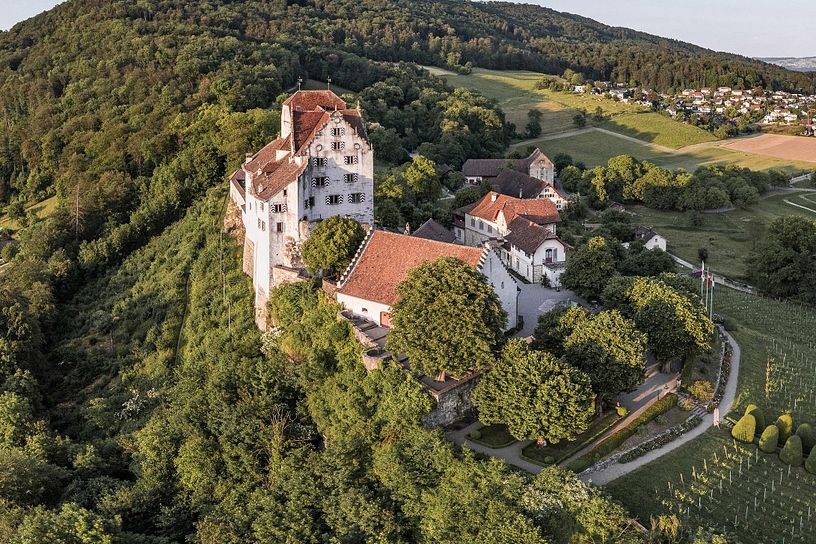 Luftaufnahme von Schloss Wildegg inmitten von Wald