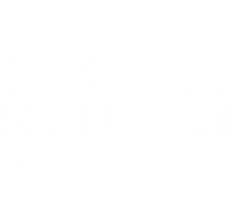 Logo Schloss Hallwyl