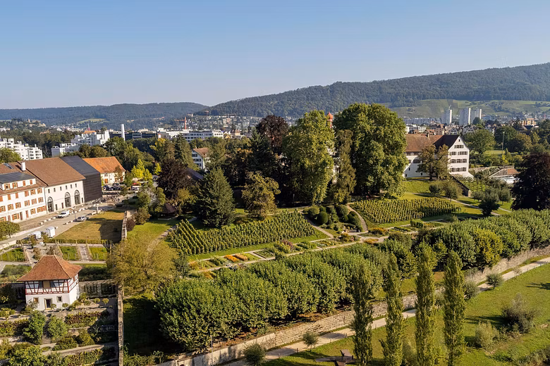 Luftaufnahme Klosterhalbinsel Wettingen