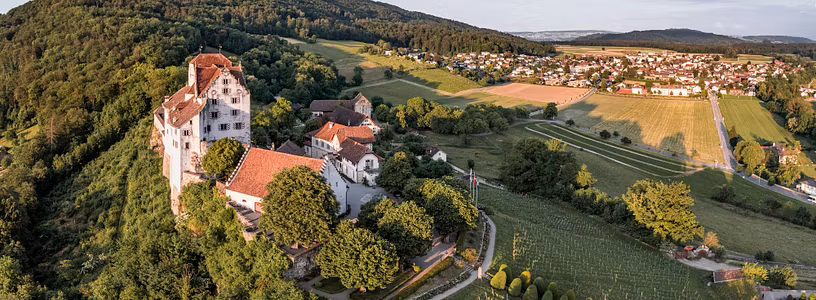 Luftaufnahme Schloss Wildegg mit Rebberg und Umland im Morgenlicht