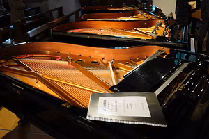 Mehrere Flügel stehen nebeneinander, so dass das Innere der Flügel sichtbar ist.