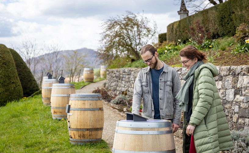 Ein Mann und eine Frau stehen auf einem Web im Rebberg von Schloss Wildegg. Vor ihnen steht ein Fass mit einer Installation. Im Hintergrund weitere Holzfässer.