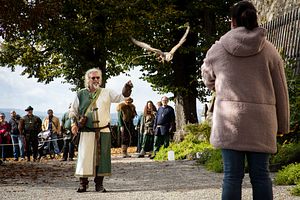 Vorführung von Greifvögeln und Eulen auf Schloss Wildegg