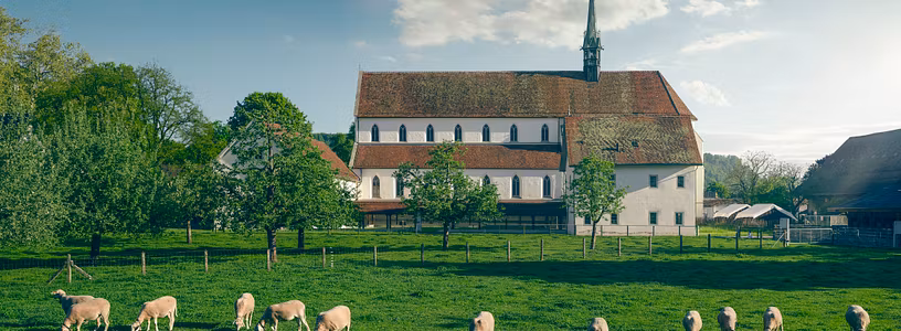 Aussenaufnahme vom Kloster Königsfelden