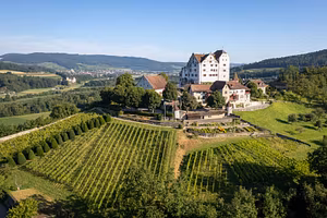Saisoneröffnung Museum Aargau mit Rebpfad