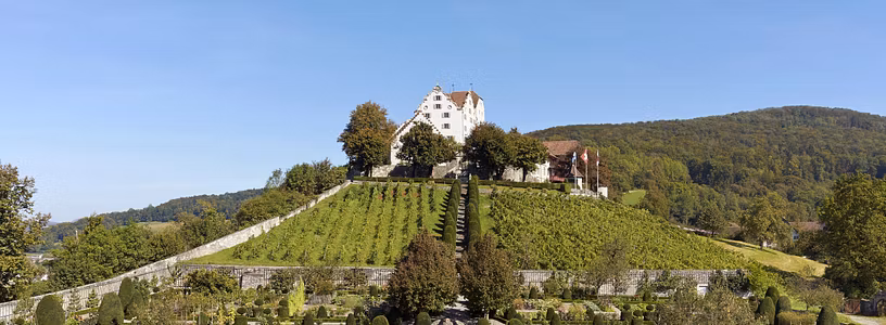 Schlossdomäne Wildegg mit Garten Blickwinkel von unten