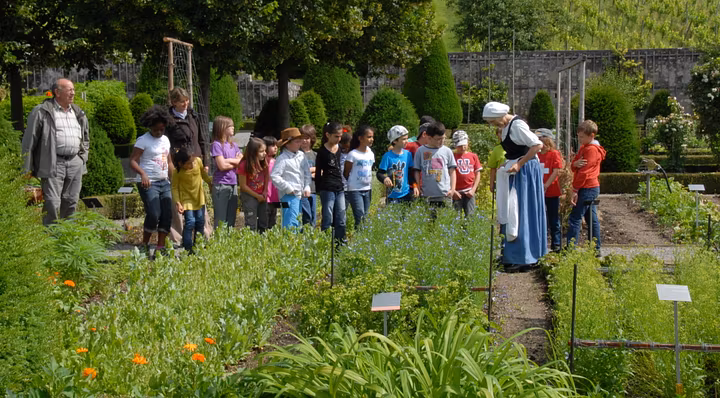 Besucher und Besucherinnen entdecken den Kräutergarten auf dem Schloss Wildegg