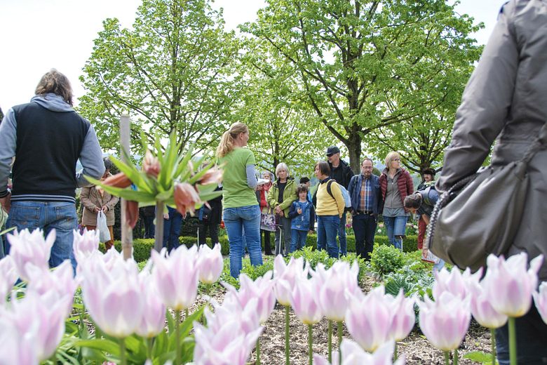 Eine Gruppe Menschen steht in einem Garten, im Vordergrund Tulpen