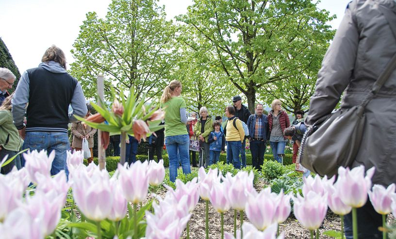 Eine Gruppe Menschen steht in einem Garten, im Vordergrund Tulpen