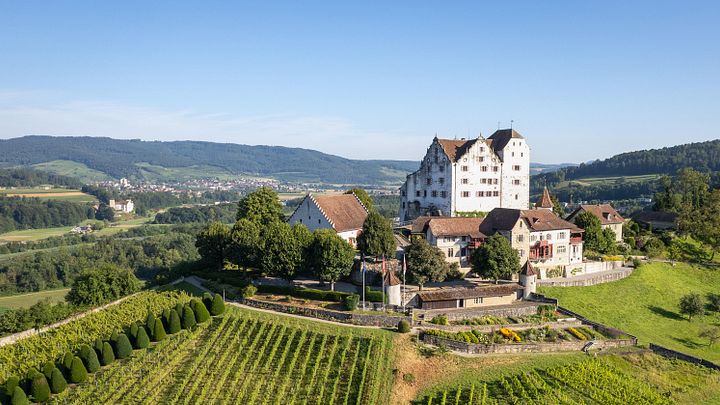 Luftaufnahme Schloss Wildegg mit Rebberg