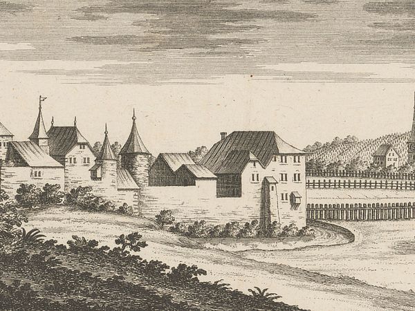 Schloss Hallwyl auf einem Stich aus David Herrlibergers "Neue und vollständige Topographie der Eydgnossschaft".