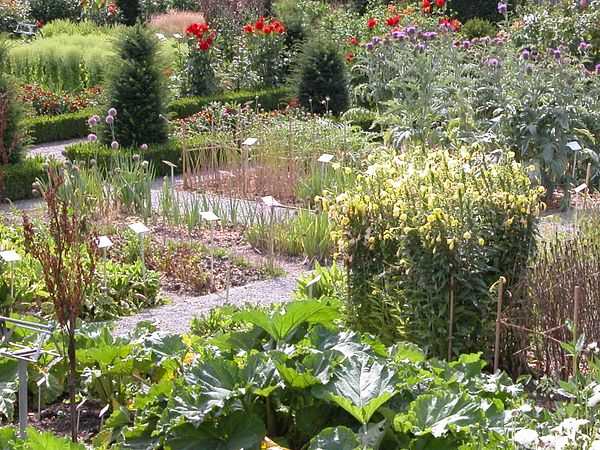 Unterschiedliche Stauden im Garten von Schloss Wildegg.