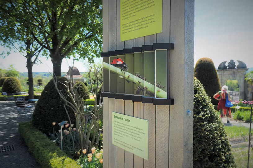 Eine Infotafel im Garten von Schloss Wildegg