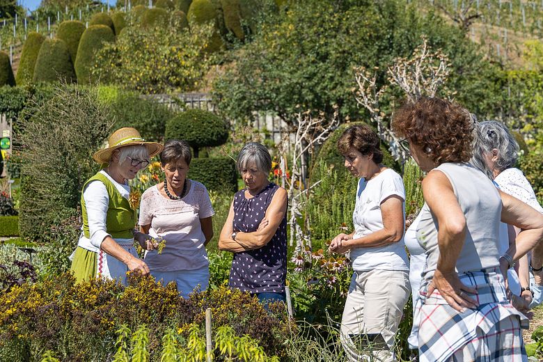 Führung durch den Barockgarten von Schloss Wildegg: Eine Frau in Tracht erklärt einer Besuchergruppe mehrere Pflanzen, im Hintergrund Schloss Wildegg