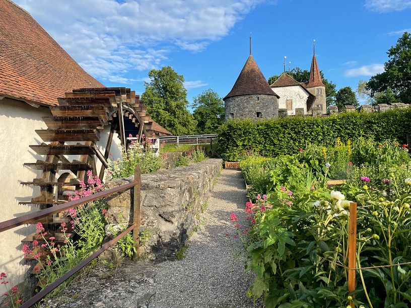 Aussenansicht Mühle Schloss Hallwyl mit Mühlenrad (links), Garten (rechts) sowie Schloss Hallwyl (im Hintergrund)