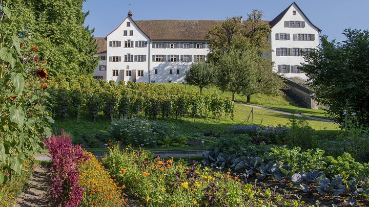 Garten und Park der Klosterhalbinsel Wettingen, im Hintergrund das Kloster Wettingen.