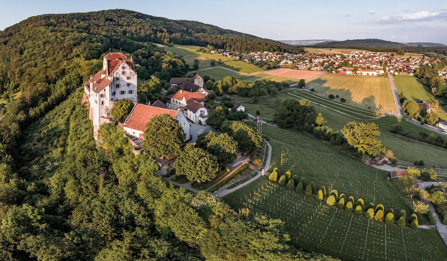 Luftaufnahme Schloss Wildegg mit Rebberg und Umland im Morgenlicht