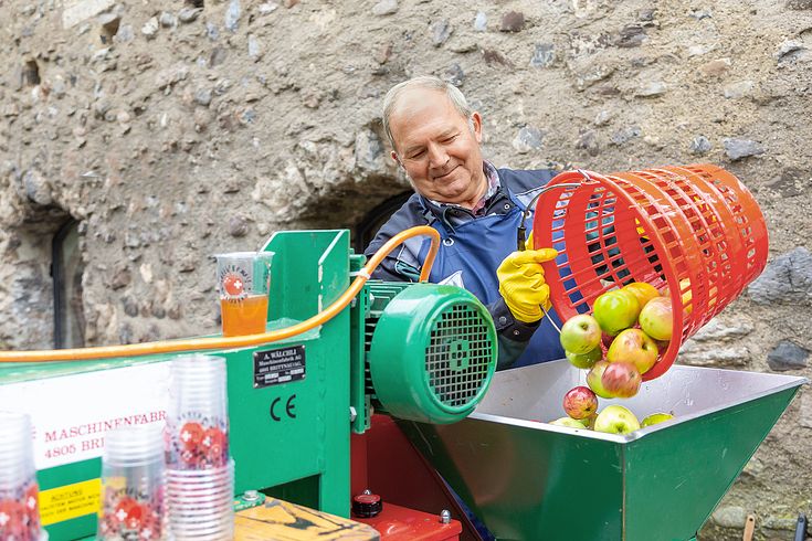 Ein Mann leer Äpfel in eine Mostpresse
