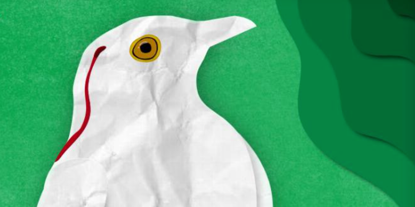 Grüner Hintergrund in verschiedenen Schattierungen, davor ein Geist in weiss gekleidet, mit einer Blutspur aus dem Maul. Link oben steht "Theaterprojekt der Kantonsschule Wettingen"