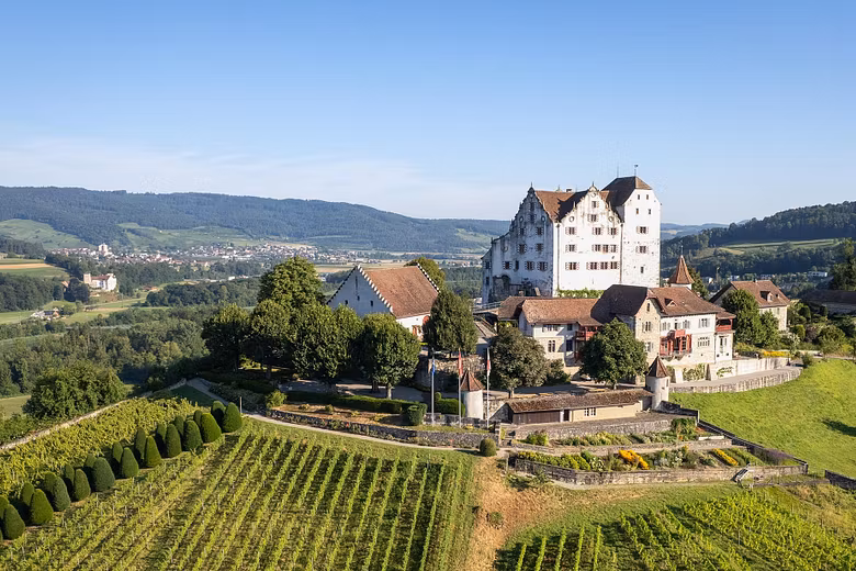 Luftaufnahme von Schloss Wildegg mit Rebberg