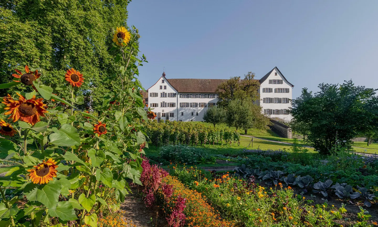 Garten und Park der Klosterhalbinsel Wettingen, im Hintergrund das Kloster Wettingen.