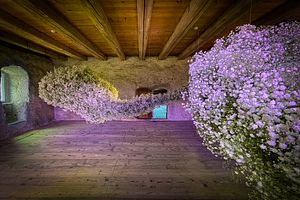 Duftinszenierung "Poesie & Sprache" Schloss Wildegg