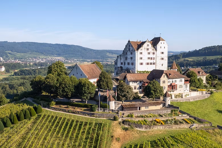 Luftaufnahme von Schloss Wildegg mit blauem Himmel und Rebberg