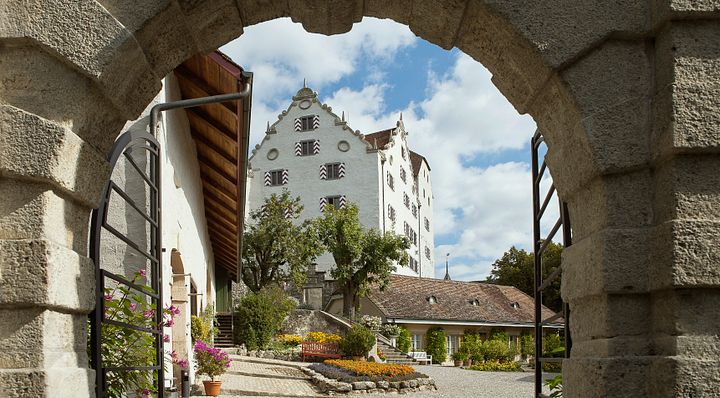 Idyllische Aussenaufnahme vom Schloss Wildegg durch das Tor 