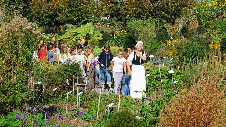 Workshop mit einer Schulklasse: Die Führungsperson steht im Kräutergarten vor den Schüler*innen und erzählt etwas über die Kräuter.
