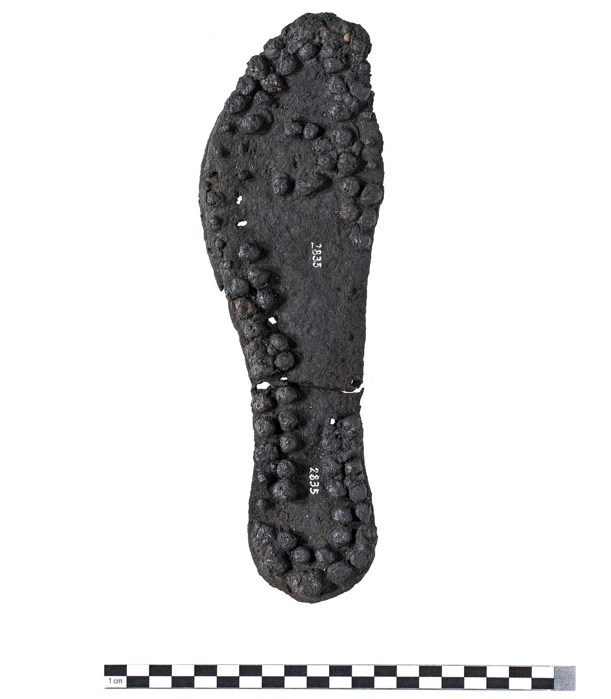 Genagelte römische Schuhsohle. Ausstellungsobjekt im Vindonissa Museum Brugg.