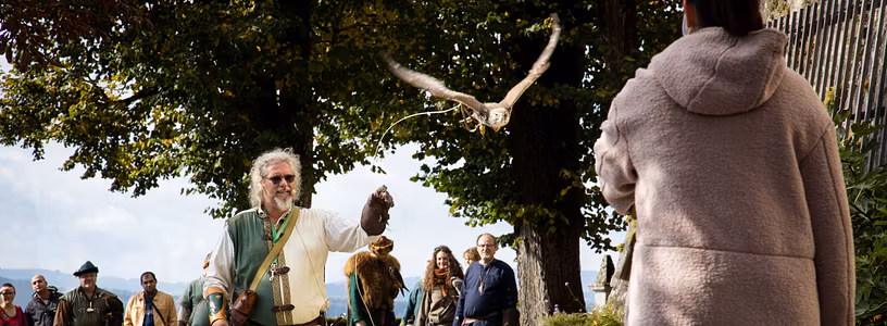 Ein Falkner in historischer Kleidung. Er lässt auf Schloss Wildegg einen Greifvogel fliegen