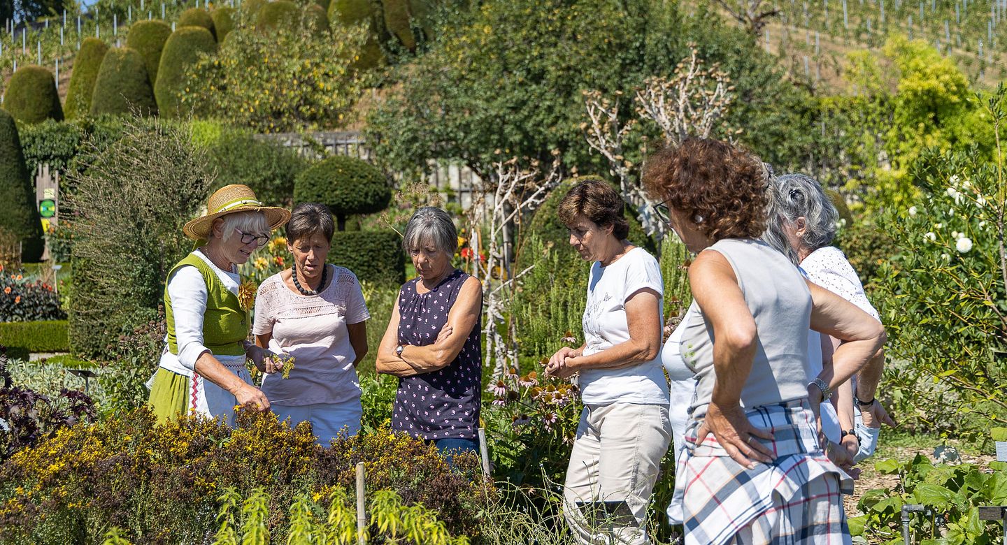 Führung durch den Barockgarten auf Schloss Wildegg.